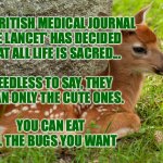 All Cute Animals Matter | THE BRITISH MEDICAL JOURNAL
'THE LANCET' HAS DECIDED 
THAT ALL LIFE IS SACRED... NEEDLESS TO SAY, THEY MEAN ONLY THE CUTE ONES. BRUCE C LINDER; YOU CAN EAT ALL THE BUGS YOU WANT | image tagged in fawny,bugs,peta,lancet | made w/ Imgflip meme maker