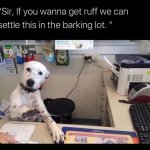 Barking lot meme