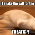 Winter Driveways and Cats | Cats when I shake the salt for the driveway; TREATS?! | image tagged in sprinting cat | made w/ Imgflip meme maker