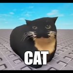 ... | CAT | image tagged in maxwell cat,cat | made w/ Imgflip meme maker