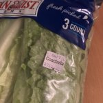 Coachella Lettuce