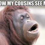 Monkey OOH Meme | HOW MY COUSINS SEE ME | image tagged in memes,monkey ooh | made w/ Imgflip meme maker