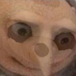 Sloth gru meme