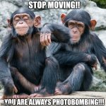 Amazon Prime mates | STOP MOVING!! YOU ARE ALWAYS PHOTOBOMBING!!! | image tagged in amazon prime mates | made w/ Imgflip meme maker