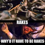 Rakes | RAKES; WHY’D IT HAVE TO BE RAKES | image tagged in why did it have to be | made w/ Imgflip meme maker