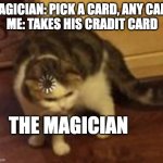 When you've had enough of their tricks | MAGICIAN: PICK A CARD, ANY CARD
ME: TAKES HIS CRADIT CARD THE MAGICIAN | image tagged in loading cat,magic,credit card | made w/ Imgflip meme maker