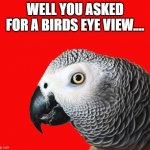 Repeating Parrot named Cishet | WELL YOU ASKED FOR A BIRDS EYE VIEW.... | made w/ Imgflip meme maker