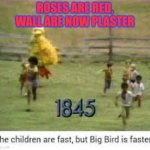 big bird | ROSES ARE RED, WALL ARE NOW PLASTER | image tagged in big bird is faster | made w/ Imgflip meme maker