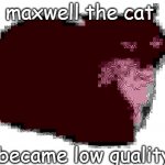 maxwell..? | maxwell the cat; became low quality | image tagged in maxwell the cat | made w/ Imgflip meme maker