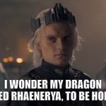 Sunyfyre is GOING to Kill Rhaenrya | I WONDER MY DRAGON KILLED RHAENERYA, TO BE HONEST | image tagged in house of the dragon,game of thrones | made w/ Imgflip meme maker