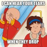 I can hear your tears when they drop over the phone | I CAN HEAR YOUR TEARS; WHEN THEY DROP OVER THE PHONE | image tagged in caillou crying | made w/ Imgflip meme maker