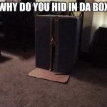 Why did YOU hide in this box | WHY DO YOU HID IN DA BOX | image tagged in i hid in a box | made w/ Imgflip meme maker