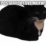 Maxwell | REPOST IF YOU LOVE MAXWELL | image tagged in maxwell | made w/ Imgflip meme maker