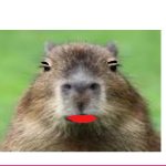 Lipstick Capybara meme