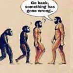 Evolution go back something has gone wrong
