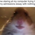 me asf | me staring at my computer trying to write my admissions essay with nothing done | image tagged in facetime hamster | made w/ Imgflip meme maker