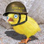 Chickenhawk Chicken hawk coward draft-dodger Republican JPP