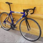 Mi bichi
