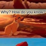 I was bored, so I made this... Don't ask why. | There are consequences to saying the n word Simba. Why? How do you know? HoW dO yOu KnOw!?!? | image tagged in simba,n word,memes | made w/ Imgflip meme maker