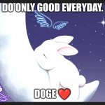good night bunny | DO ONLY GOOD EVERYDAY. DOGE ❤️ | image tagged in good night bunny | made w/ Imgflip meme maker