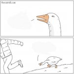 Angry goose meme