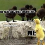 left out duck | WE ALL HAVE CLASSIFIED DOCUMENTS; ECLECTICZEBRA; ME: | image tagged in left out duck | made w/ Imgflip meme maker