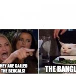 Cincinatti Bengals, not Bangles | THE BANGLES; THEY ARE CALLED 
THE BENGALS! | image tagged in housewives cat | made w/ Imgflip meme maker