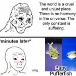 The only constant is suffering | Baby Pufferfish | image tagged in minutes later omg | made w/ Imgflip meme maker