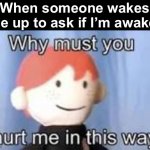I’m sure this has happened to all of us! | When someone wakes me up to ask if I’m awake: | image tagged in why must you hurt me in this way | made w/ Imgflip meme maker