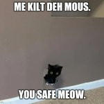 Cat hole | ME KILT DEH MOUS. YOU SAFE MEOW. | image tagged in cat hole | made w/ Imgflip meme maker