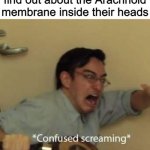 filthy frank confused scream | Arachnophobes when they find out about the Arachnoid membrane inside their heads | image tagged in filthy frank confused scream,arachnophobia,memes | made w/ Imgflip meme maker