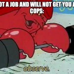 Observe | "LYING IS NOT A JOB AND WILL NOT GET YOU ANYWHERE"
COPS: | image tagged in observe | made w/ Imgflip meme maker