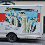 Uhaul news