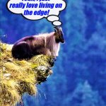 mountain goat loves living on the edge | Yeah, I just
really love living on
 the edge! Angel Soto | image tagged in animal meme,mountain goat,living on the edge,edge | made w/ Imgflip meme maker