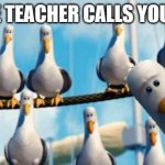 Class Moment | POV: THE TEACHER CALLS YOUR NAME: | image tagged in nemo birds | made w/ Imgflip meme maker