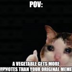 Thumbs up crying cat | POV:; A VEGETABLE GETS MORE UPVOTES THAN YOUR ORIGINAL MEME | image tagged in thumbs up crying cat | made w/ Imgflip meme maker