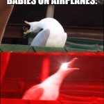 screaming seagull | BABIES ON AIRPLANES: | image tagged in screaming seagull | made w/ Imgflip meme maker