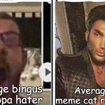 All memecats are good | Average bingus or floppa hater; Average All meme cat respecter | image tagged in average fan vs average enjoyer,bingus,floppa,memes | made w/ Imgflip meme maker