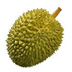 Durian.