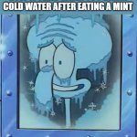 Frozen Squidward | HOW IT FEELS WHEN YOU DRINK COLD WATER AFTER EATING A MINT | image tagged in frozen squidward | made w/ Imgflip meme maker