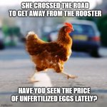 Egg Sighting | SHE CROSSED THE ROAD TO GET AWAY FROM THE ROOSTER; HAVE YOU SEEN THE PRICE OF UNFERTILIZED EGGS LATELY? | image tagged in chicken crossing the road | made w/ Imgflip meme maker