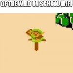 boi | POV: YOU'RE PLAYING THE LEGEND OF ZELDA: BREATH OF THE WILD ON SCHOOL WIFI | image tagged in boi,funny,memes,school wifi,graphics,bad | made w/ Imgflip meme maker