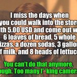 Stupid cameras | I miss the days when you could walk into the store with 5.00 USD and come out with 6 loaves of bread, 5 whole pizzas, a dozen sodas, 3 gallons of milk, and 8 heads of lettuce. You can’t do that anymore, though. Too many f**king cameras! | image tagged in funny,iceu,make u see this lol | made w/ Imgflip meme maker