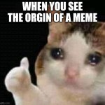 sad thumbs up cat | WHEN YOU SEE THE ORGIN OF A MEME | image tagged in sad thumbs up cat | made w/ Imgflip meme maker