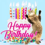 cat birthday GIF Template