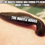 Parasite | PERSON: THE WAFFLE HOUSE HAS FOUND IT'S NEW HOST
WHAT I THINK:; THE WAFFLE HOUSE | image tagged in parasite | made w/ Imgflip meme maker