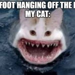 SHARK CAT | MY FOOT HANGING OFF THE BED:
MY CAT: | image tagged in shark cat | made w/ Imgflip meme maker