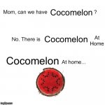 Cocomelon at home | Cocomelon Cocomelon Cocomelon | image tagged in mom can we have,coconut,cocomelon,watermelon,fruit | made w/ Imgflip meme maker