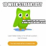 Duolingo bird | 10 WEEK STREAK LOST; WELL I GUESS YOU CAN SURVIVE 
10 MORE WEEKS WITHOUT OXYGEN | image tagged in duolingo bird | made w/ Imgflip meme maker
