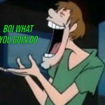 Shaggy boi what you goin do